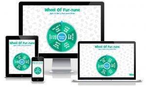 Cross Platform Digital marketing game